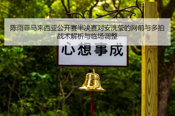chen-yu-fei-ma-lai-xi-ya-gong-kai-sai-ban-jue-sai-dui-an-xi-ying-de-wang-qian-yu-duo-pai-zhan-shu-jie-xi-yu-lin-chang-2-473.jpg